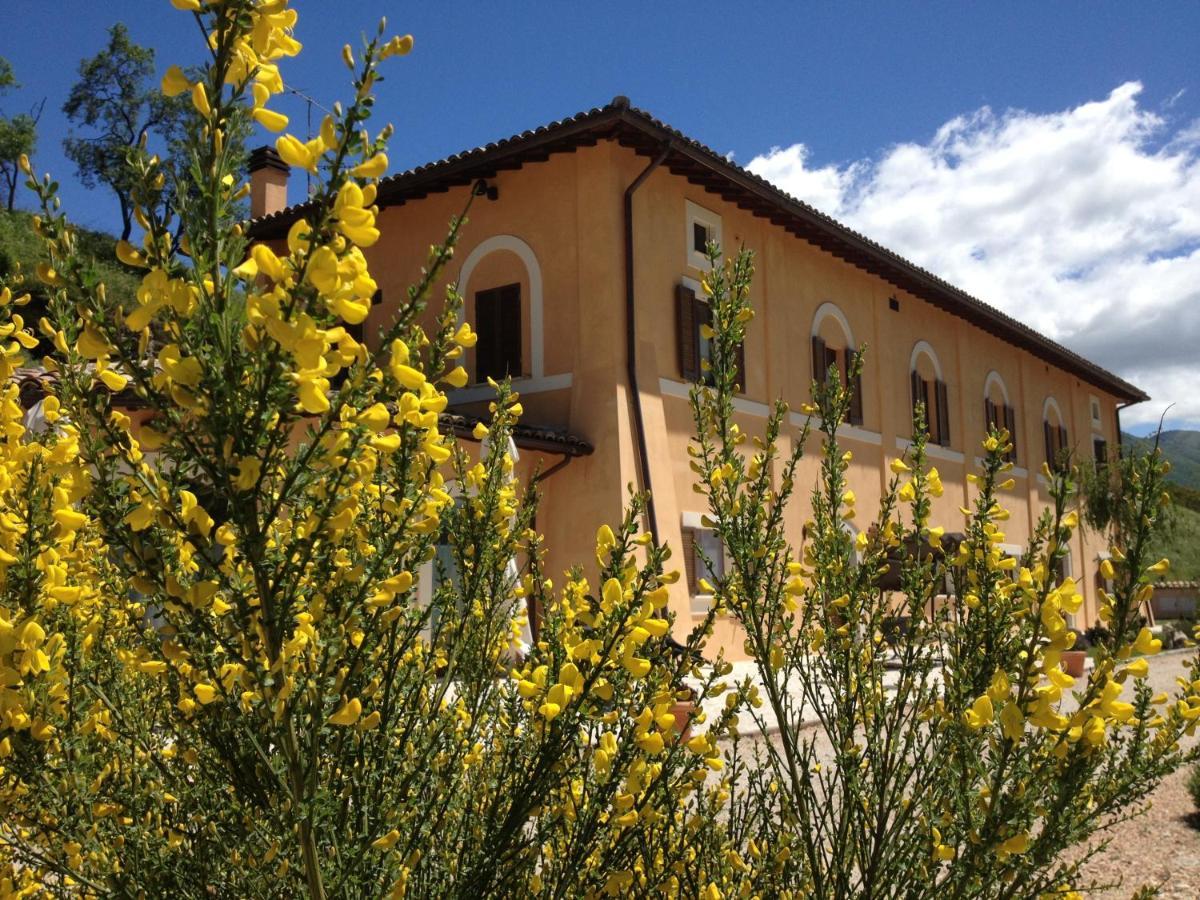 Bed & Breakfast Il Casale San Martino 3*