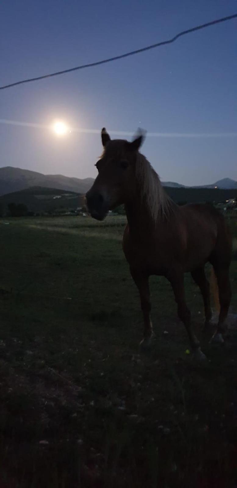 Il Casale San Martino 3* Norcia